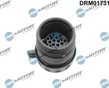 Lizarte DRM01731 - Plug Housing, automatic transmission control unit car-mod.net