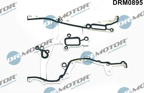 Lizarte DRM0895 - Timing Case Gasket, engine timing car-mod.net