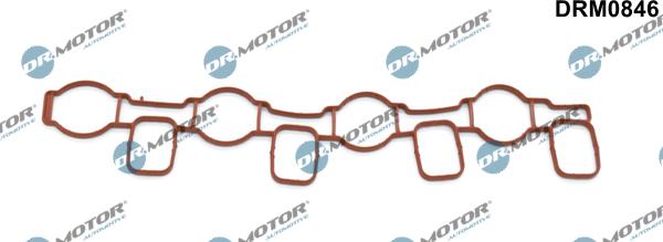 Lizarte DRM0846 - Gasket, intake manifold car-mod.net