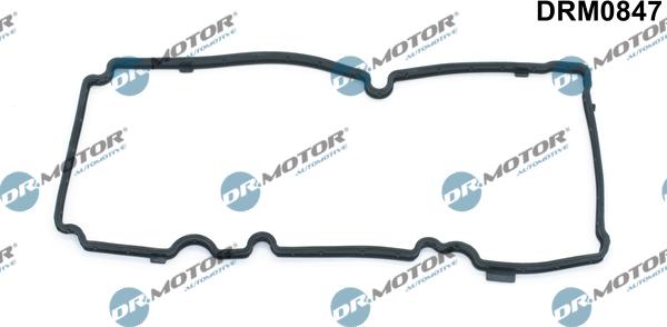 Lizarte DRM0847 - Gasket, cylinder head cover car-mod.net