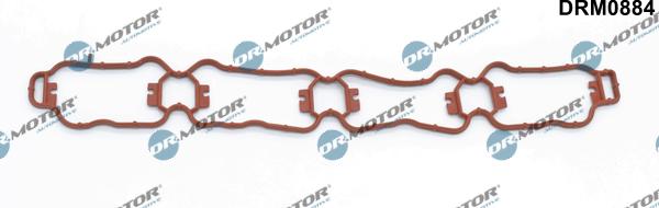 Lizarte DRM0884 - Gasket, intake manifold car-mod.net
