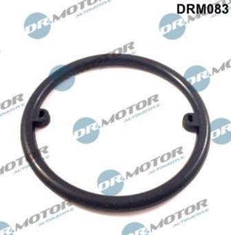 Lizarte DRM083 - Seal, oil cooler car-mod.net