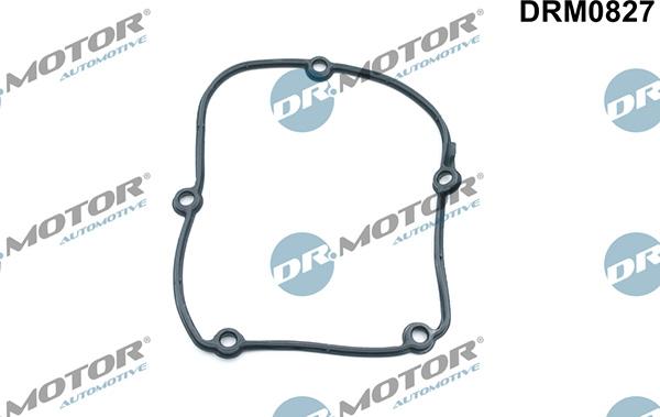 Lizarte DRM0827 - Timing Case Gasket, engine timing car-mod.net