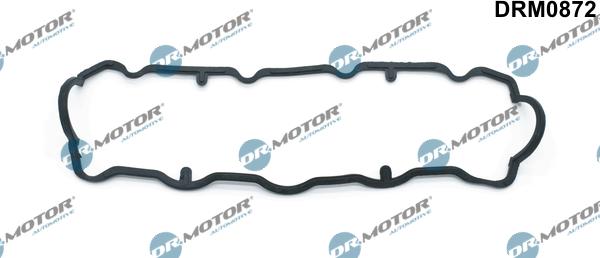 Lizarte DRM0872 - Gasket, cylinder head cover car-mod.net