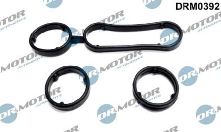Lizarte DRM0392 - Gasket Set, oil cooler car-mod.net