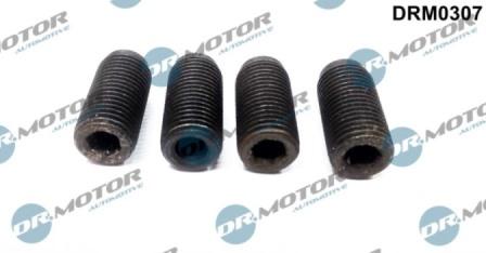 Lizarte DRM0307 - Adjustment Screw, injector pump car-mod.net