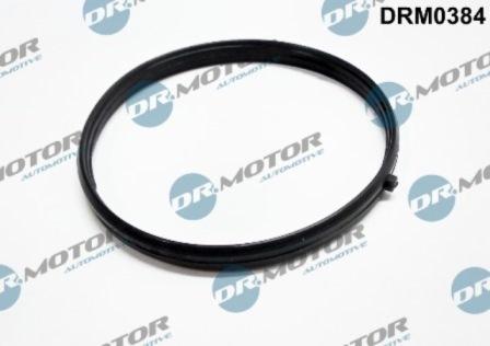 Lizarte DRM0384 - Gasket, intake manifold car-mod.net