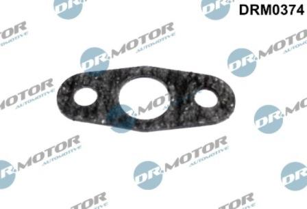 Lizarte DRM0374 - Seal, turbine inlet (charger) car-mod.net