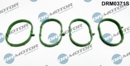 Lizarte DRM0371S - Gasket Set, intake manifold car-mod.net