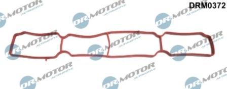 Lizarte DRM0372 - Gasket, intake manifold car-mod.net