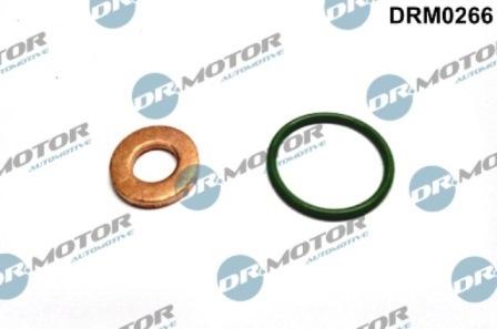 Lizarte DRM0266 - Seal Kit, injector nozzle car-mod.net