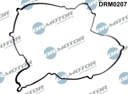 Lizarte DRM0207 - Gasket, cylinder head cover car-mod.net