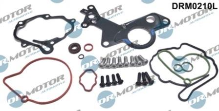 Lizarte DRM0210L - Repair Set, vacuum pump (braking system) car-mod.net
