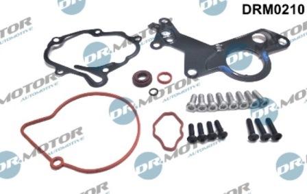 Lizarte DRM0210 - Repair Set, vacuum pump (braking system) car-mod.net