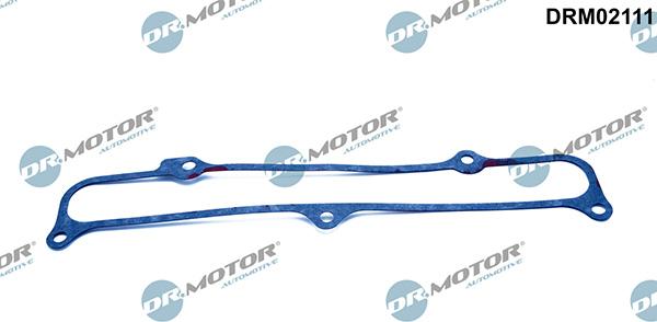 Lizarte DRM02111 - Gasket, intake manifold car-mod.net
