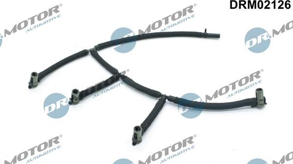 Lizarte DRM02126 - Seal, oil filter housing car-mod.net
