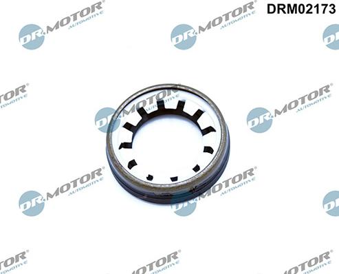 Lizarte DRM02173 - Shaft Seal, differential car-mod.net