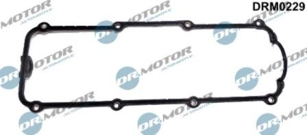 Lizarte DRM0229 - Gasket, cylinder head cover car-mod.net