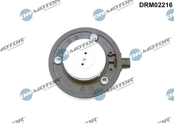 Lizarte DRM02216 - Central Magnet, camshaft adjustment car-mod.net