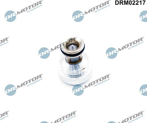 Lizarte DRM02217 - Non-Return Valve car-mod.net
