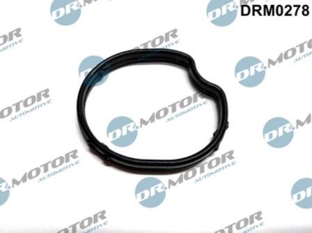 Lizarte DRM0278 - Gasket, thermostat housing car-mod.net