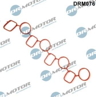 Lizarte DRM076 - Gasket, intake manifold car-mod.net