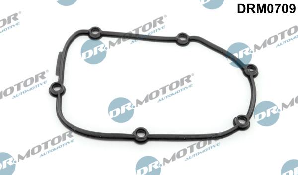 Lizarte DRM0709 - Timing Case Gasket, engine timing car-mod.net