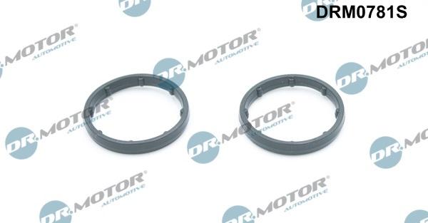 Lizarte DRM0781S - Seal, oil cooler car-mod.net