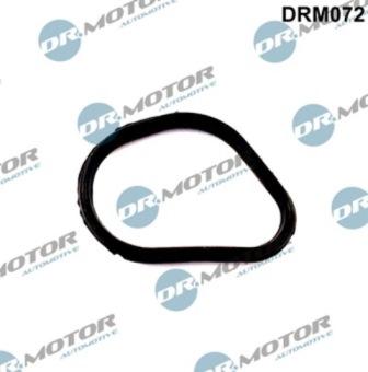 Lizarte DRM072 - Gasket, thermostat housing car-mod.net