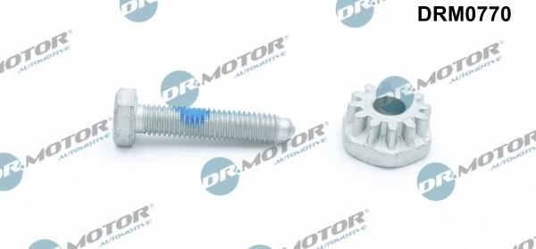 Lizarte DRM0770 - Tensioner Bolt, alternator mounting car-mod.net