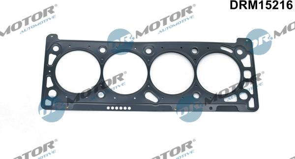 Lizarte DRM15216 - Gasket, cylinder head car-mod.net