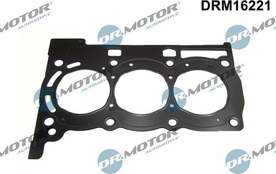 Lizarte DRM16221 - Gasket, cylinder head car-mod.net