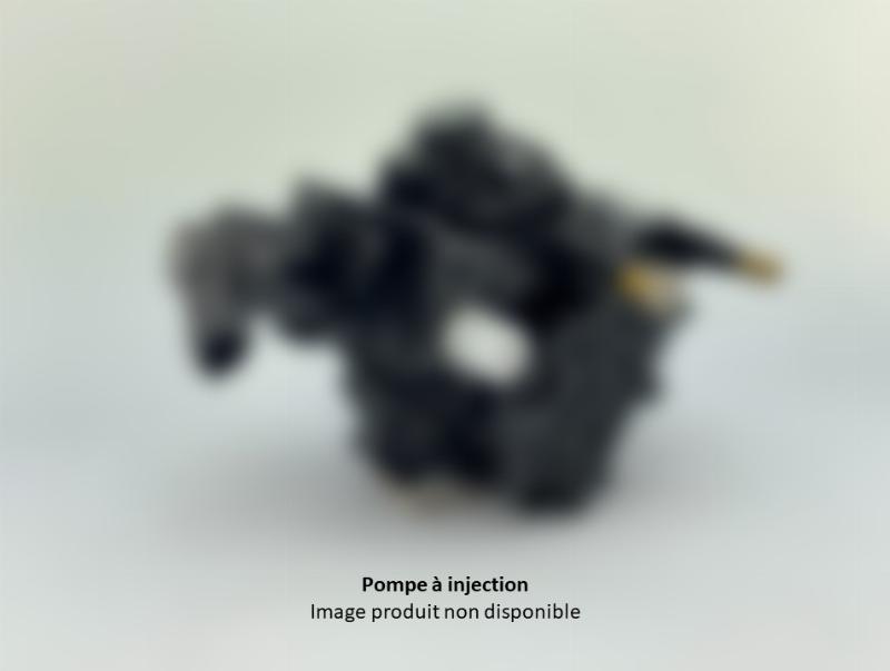 LRPI 515573 - High Pressure Pump car-mod.net