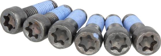 LUK 411 0169 10 - Screw Set, flywheel car-mod.net