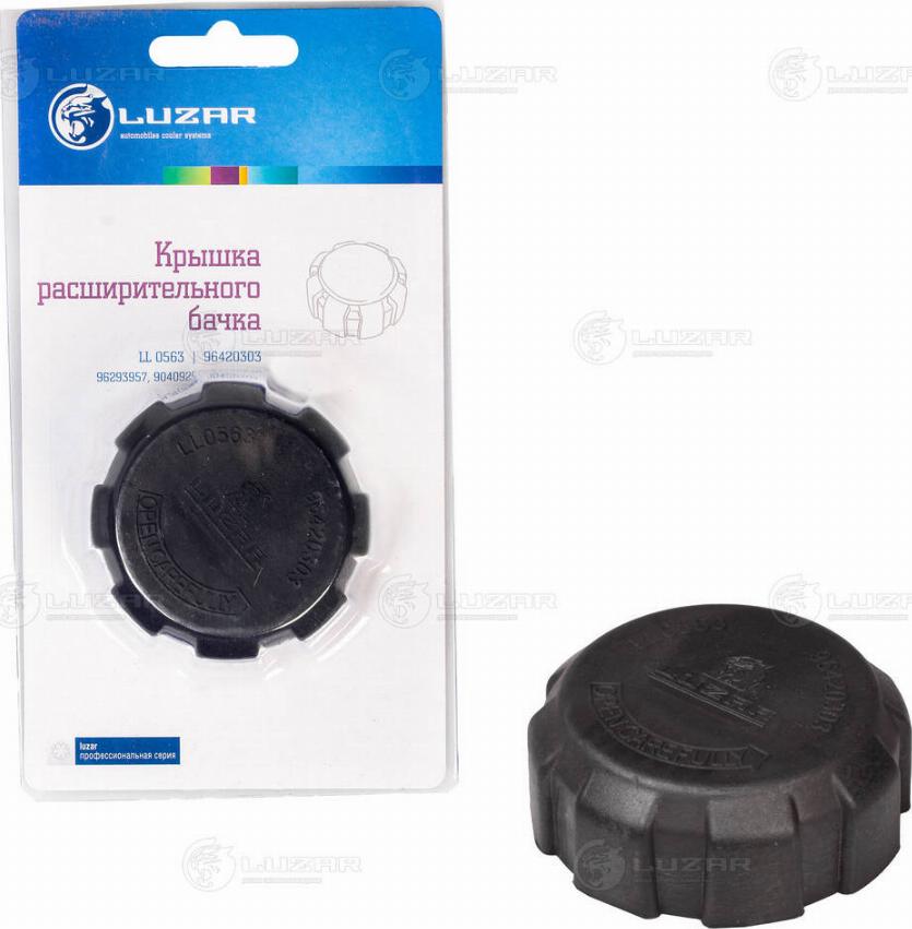 CARRO 048108585 - Sealing Cap, radiator car-mod.net