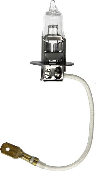 Magneti Marelli 002553100000 - Bulb, fog light car-mod.net