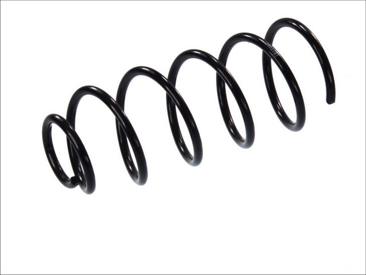 Magnum Technology SW021MT - Coil Spring car-mod.net