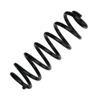 Magnum Technology SW195 - Coil Spring car-mod.net