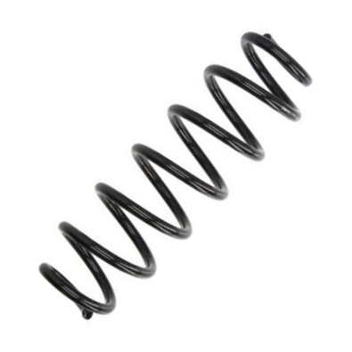 Magnum Technology SW150 - Coil Spring car-mod.net