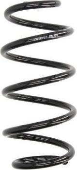 Magnum Technology SW151 - Coil Spring car-mod.net