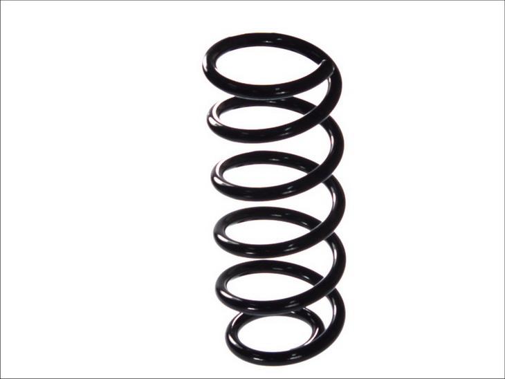 Magnum Technology SW113MT - Coil Spring car-mod.net