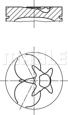 MAHLE 0029302 - Piston car-mod.net