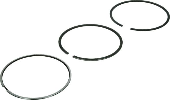 MAHLE 030 79 N0 - Piston Ring Kit car-mod.net