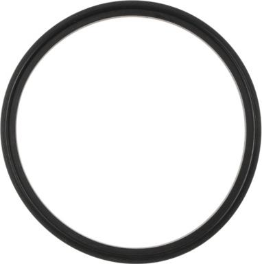 MAHLE C31200 - Gasket, thermostat car-mod.net