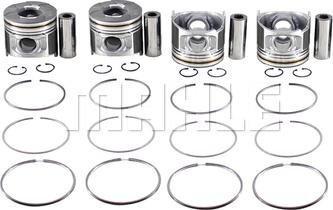 MAHLE S1950510 - Piston car-mod.net