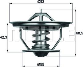 MAHLE TX 35 71 - Coolant thermostat / housing car-mod.net