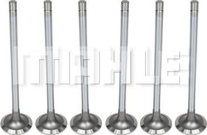 MAHLE VA0011469 - Inlet Valve car-mod.net