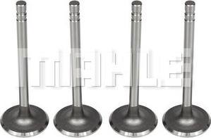 MAHLE VA0140104 - Inlet Valve car-mod.net