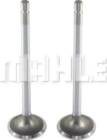 MAHLE VA0210151 - Inlet Valve car-mod.net