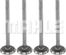 MAHLE VA0700050 - Inlet Valve car-mod.net